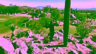 PXG Golf Here To There PXG Desert Club Ad Commercial Brand Imagery Photoshoot 1