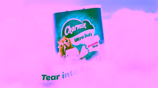 Charmin Wavy Edge Look Charmin Ultra Soft 06 Ad Commercial Brand Imagery Photoshoot 2