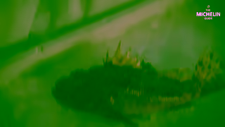 MICHELIN Guide HOTELUK 169 MultiScene Ad Commercial Brand Imagery Photoshoot 1