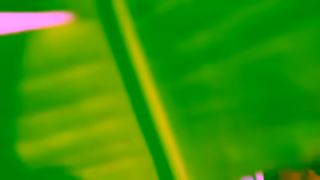 BIOSSANCE SPF SIZZLE YT 30 16x9 RETAIL V3 Ad Commercial Brand Imagery Photoshoot 2