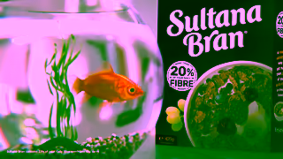 Kellogg's Sultana Bran 16x9 6s Ad Commercial Brand Imagery Photoshoot 1