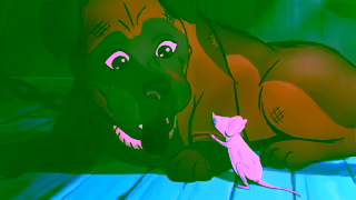 RSPCA.org.uk No animal deserves cruelty 30 Ad Commercial Brand Imagery Photoshoot 0