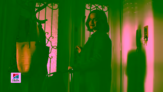 Hill's Because Youre Only Human The Suitcase Ad Commercial Brand Imagery Photoshoot 1