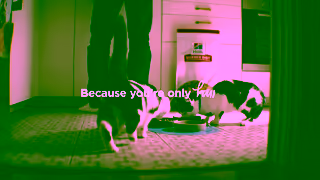 Hill's Because Youre Only Human The Suitcase Ad Commercial Brand Imagery Photoshoot 2