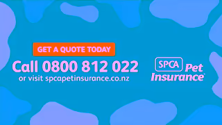 SPCA Some Problems You Never See Coming Ad Commercial Brand Imagery Photoshoot 2