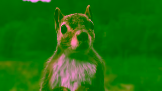 Salesforce SelfAware Squirrel Ask More of AI with Matthew McConaughey Salesforce Ad Commercial Brand Imagery Photoshoot 1