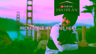 Purina Your Active Dogs Lifestyle Starts with His Dog Food Get Started Ad Commercial Brand Imagery Photoshoot 0