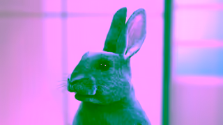 Blue Bunny iScream Blue Bunny HQ Mini Swirls Testing Pod Ad Commercial Brand Imagery Photoshoot 2