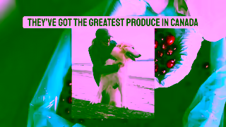 ACANA Pet Food SunfreshFarms 16x9 With VO Ad Commercial Brand Imagery Photoshoot 1