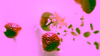 LALA Yogurt Rise LALA THRIVE Ad Commercial Brand Imagery Photoshoot 1