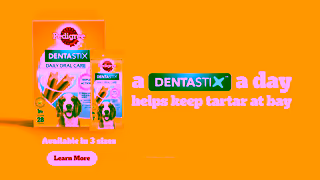 Pedigree Pedigree Dentastix Ad Commercial Brand Imagery Photoshoot 2