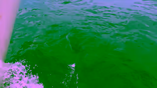 Oroton The Oroton Drumfire Teaser Ad Commercial Brand Imagery Photoshoot 3