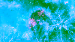 Honda Le Honda Pilot 2024 Faitesen plus pour vous Ad Commercial Brand Imagery Photoshoot 1