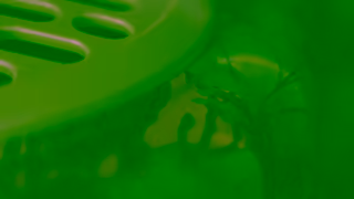 Turtlebox Audio Tutlebox x Mossy Oak Full Foliage Ad Commercial Brand Imagery Photoshoot 0