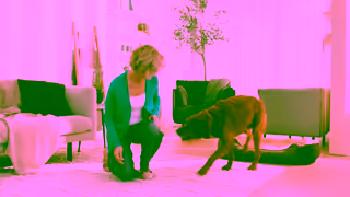 All Laundry all free clear Dr Recommended 15 Ad Commercial Brand Imagery Photoshoot 2