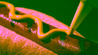 Maple Lodge Farms This ULTIMATE moment is brought to you by Maple Lodge Farms Ad Commercial Brand Imagery Photoshoot 1