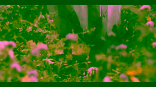 Disney Plus FXs American Horror Story Delicate Now streaming on Disney Ad Commercial Brand Imagery Photoshoot 1