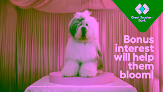 Great Southern Bank Sam Ease 6 Happily Clever After Great Southern Bank Ad Commercial Brand Imagery Photoshoot 1