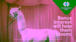 Great Southern Bank Sam Ease 6 Happily Clever After Great Southern Bank Ad Commercial Brand Imagery Photoshoot 2