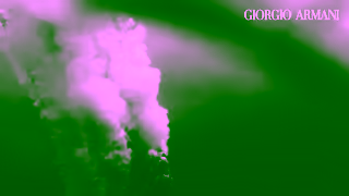 Giorgio Armani ACQUA DI GI PARFUM the new intensity by Giorgio Armani Ad Commercial Brand Imagery Photoshoot 1
