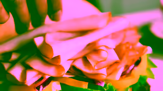 Hillshire Farm Oh Hill Yeah Hillshire Farm Lunchmeat Ad Commercial Brand Imagery Photoshoot 0