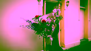 Art Stems on Lygon Art Stems Send them the most beautiful flower they have ever seen Ad Commercial Brand Imagery Photoshoot 0