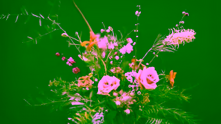 Art Stems on Lygon Art Stems Send them the most beautiful flower they have ever seen Ad Commercial Brand Imagery Photoshoot 1