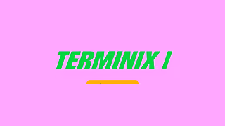 Terminix 24FCB1031 TMX 2024 Brand ANMI Roaches Ew A Roach OLV06 Ad Commercial Brand Imagery Photoshoot 2