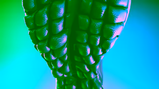 OOFOS Footwear Feel the OO Ad Commercial Brand Imagery Photoshoot 1