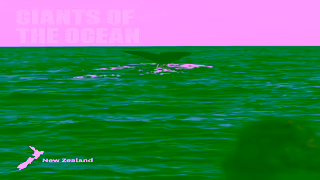 Tourism New Zealand Discover when New Zealand is best for you Ad Commercial Brand Imagery Photoshoot 0