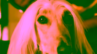 Bulgari The Dressing Room Bvlgari Holiday Season 2024 Ad Commercial Brand Imagery Photoshoot 2