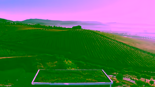 Visit Portugal Wine pairs with Art Wine pairs with Portugal Ad Commercial Brand Imagery Photoshoot 0