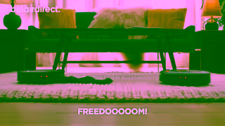 BelairDirect Insurance Simpler than using smart devices belairdirect Ad Commercial Brand Imagery Photoshoot 0