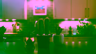 Libman Clean Libman HeavyDuty Wonder Mop with Scrub Brush Ad Commercial Brand Imagery Photoshoot 0