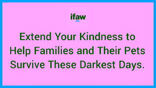 IFAW IFAW Make a Difference for Animals Ad Commercial Brand Imagery Photoshoot 1