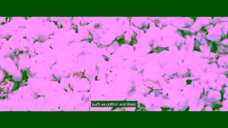 Goondiwindi Cotton SWA001d 15s GC v02 201120 subs Ad Commercial Brand Imagery Photoshoot 1