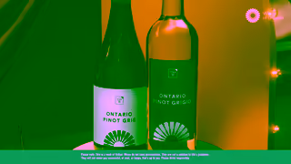 Wines of Ontario TR WMAO PTMY Pinot Gris Grigio PleasuretoMeetYou 10s 16x9 EN WebSpecMP4 r03 Ad Commercial Brand Imagery Photoshoot 1