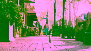 Geico VIP LowKey Big Deal GEICO Ad Commercial Brand Imagery Photoshoot 2