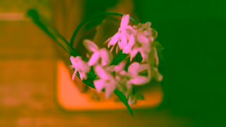 Charter Hall Caretakers Cottage 30s 16x9 Ad Commercial Brand Imagery Photoshoot 2