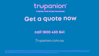 Trupanion Trupanion Australia Pet Insurance 15s Ad Commercial Brand Imagery Photoshoot 2
