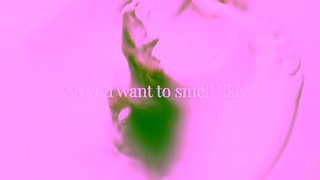 Sephora New and Now Fragrances Ad Commercial Brand Imagery Photoshoot 0