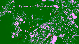 Aurora Expeditions Ready to unleash your inner explorer Aurora Expeditions Ad Commercial Brand Imagery Photoshoot 1