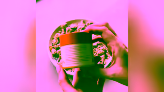 Lyka Pet Food Did you know healthy dog food could be this easy Ad Commercial Brand Imagery Photoshoot 0