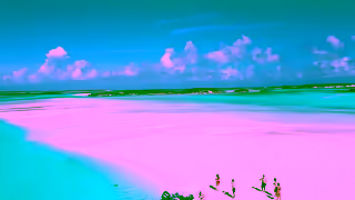 MAKERS AIR Makers Air Daily Flights to the Bahamas Ad Commercial Brand Imagery Photoshoot 1