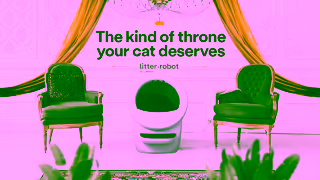 LitterRobot UK Throne 10s Ad Commercial Brand Imagery Photoshoot 0