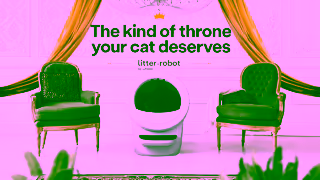 LitterRobot UK Throne 10s Ad Commercial Brand Imagery Photoshoot 1