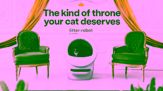 LitterRobot UK Throne 10s Ad Commercial Brand Imagery Photoshoot 2