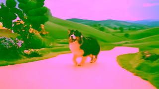 Butternut Box Summer Campaign6sTVC Bumper 2 Ad Commercial Brand Imagery Photoshoot 1