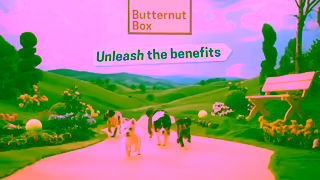 Butternut Box Summer Campaign6sTVC Bumper 2 Ad Commercial Brand Imagery Photoshoot 2