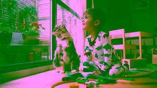 Purina Quality Cat Food Just Look for Our Name Ad Commercial Brand Imagery Photoshoot 0